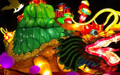 Energiekick für dein Zuhause: 4 Tipps zum chinesischen Neujahr