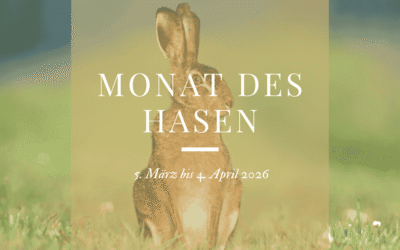 Monat des Hasen – Monatsenergie März 2026